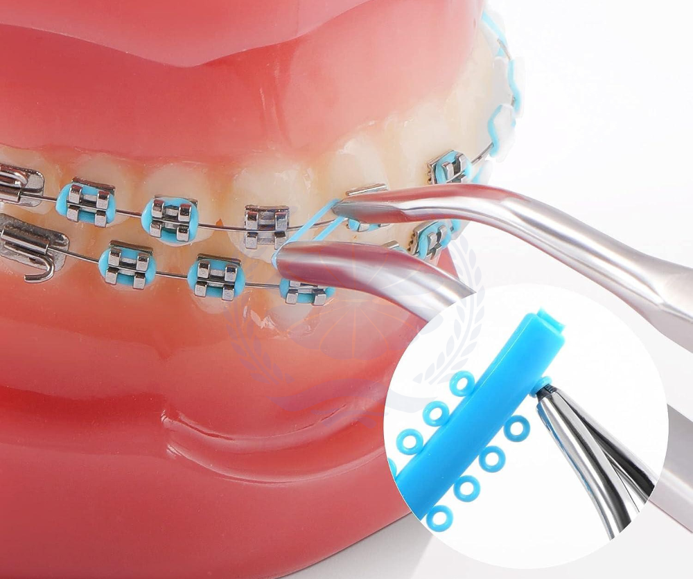 Standard Orthodontic Ligatures